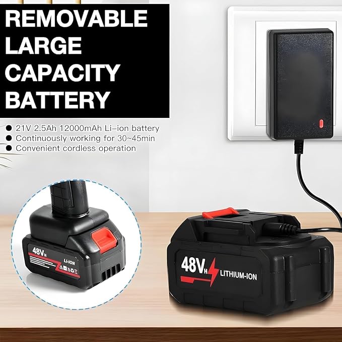 Flexi Madhav (Double_Battery) Cordless Portable Wireless Pressure Washer Gun 48V 12000mah High Pressure Water Gun for Car Wash