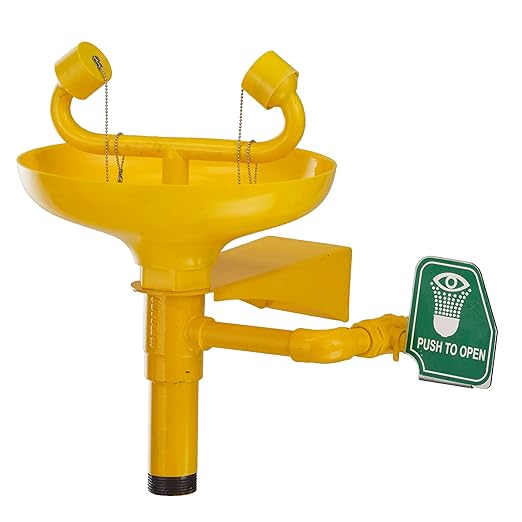 Udyogi 4810 GI Eye Wash and Safety Shower, Inlet Connection 1/2 Inch, 10 LPM